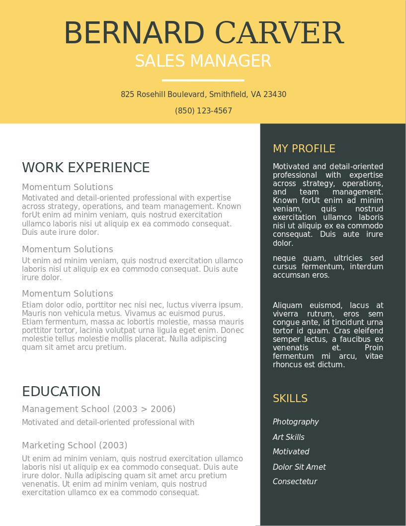 Modern Mustard Splash CV – anteprima